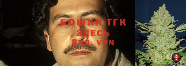 ешки Армянск