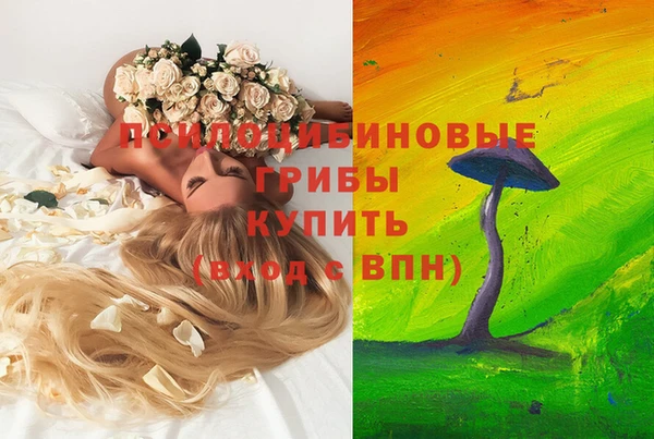 герыч Аркадак