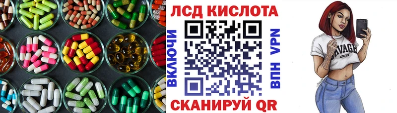 дарнет шоп  Пошехонье  ЛСД экстази ecstasy 