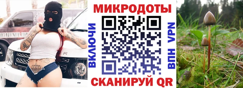 Галлюциногенные грибы ЛСД  Пошехонье 